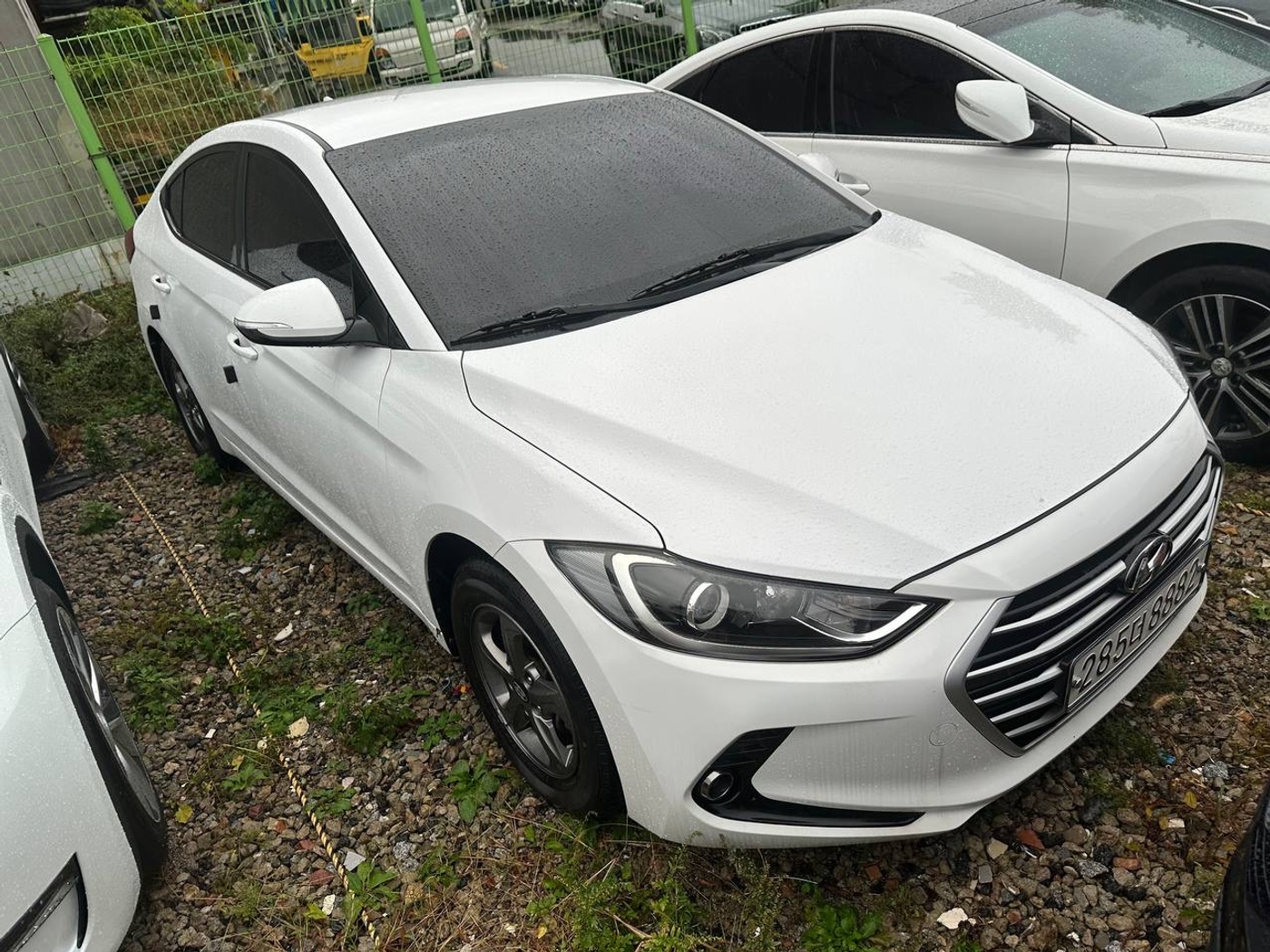 Hyundai-Avante