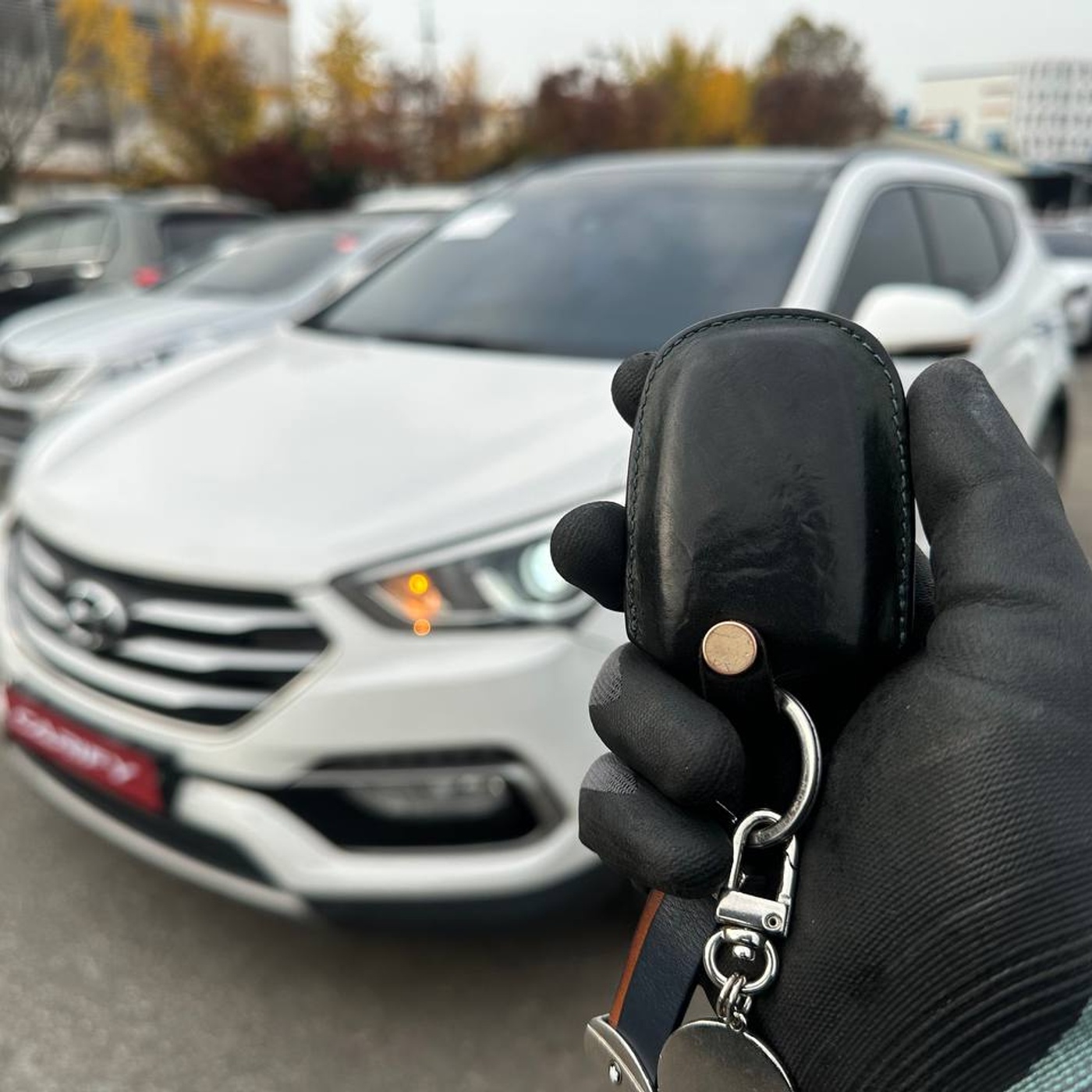 Hyundai-Santa Fe