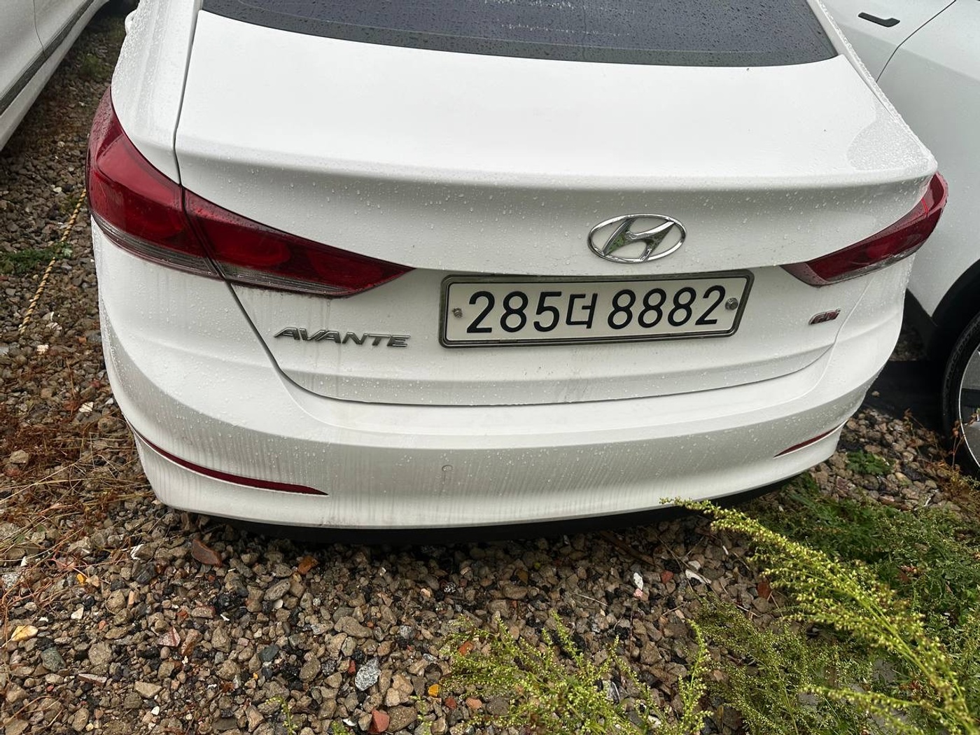 Hyundai-Avante