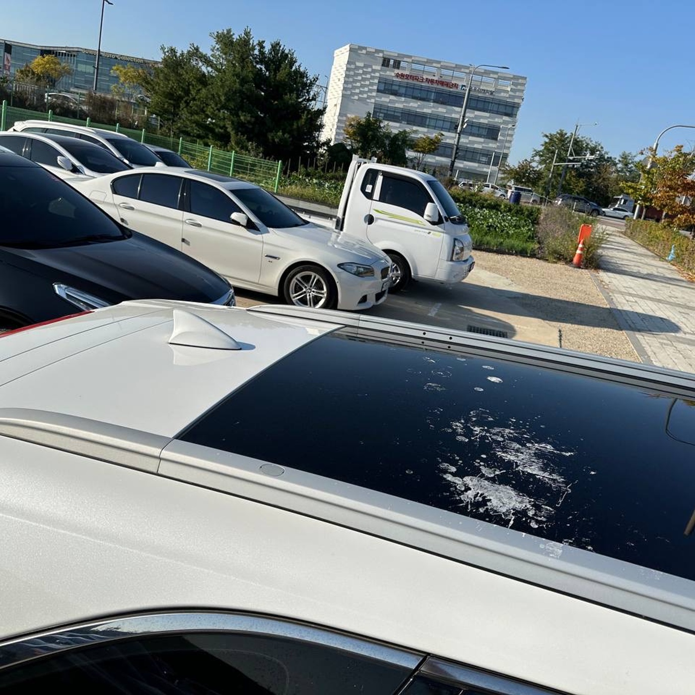 기아-쏘렌토
