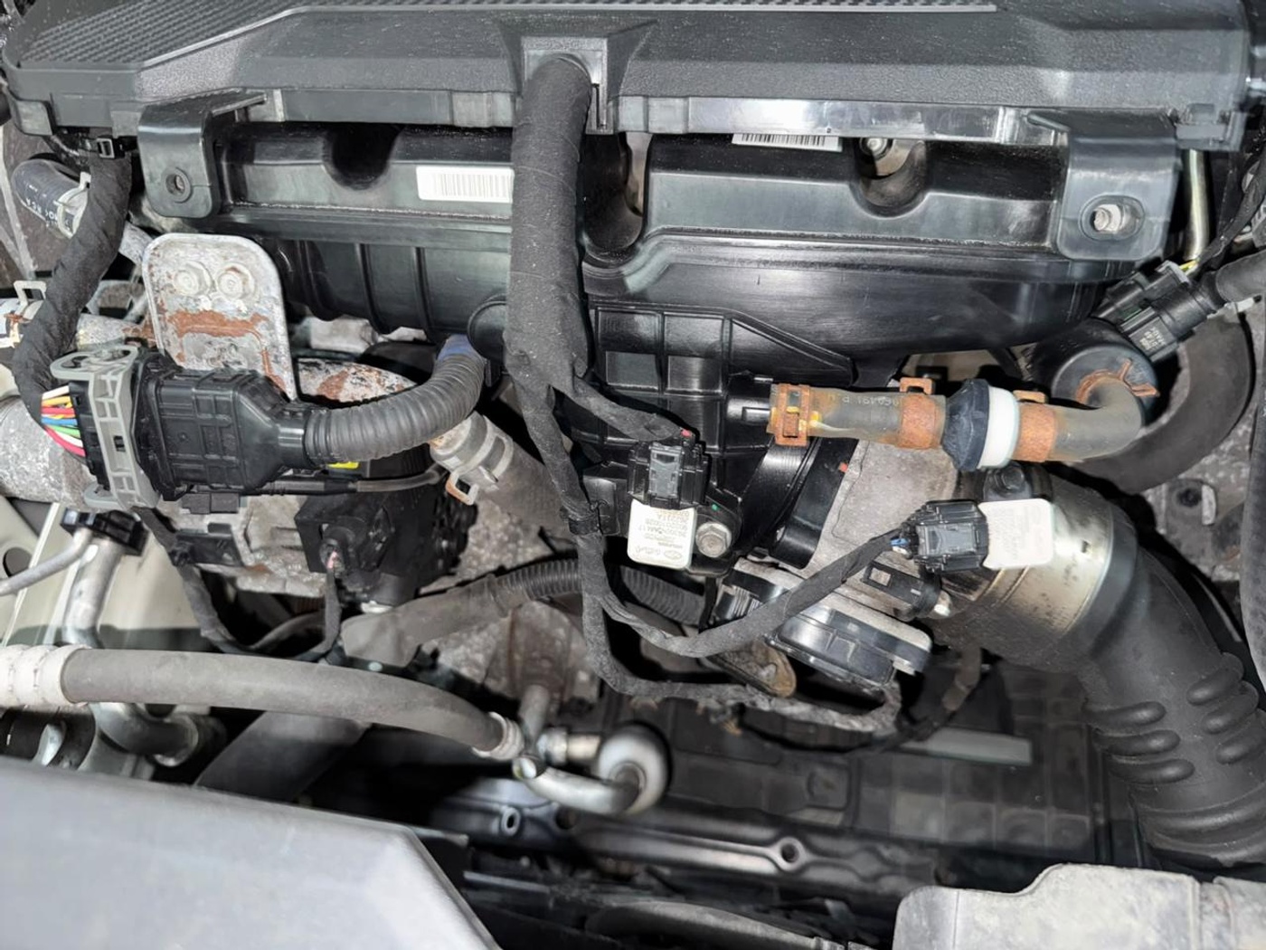 Kia-Sportage